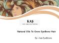 Natural Oils To Grow EyeBrow Hair PowerPoint PPT Presentation