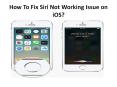 How To Fix Siri Not Working Issue on iOS? PowerPoint PPT Presentation