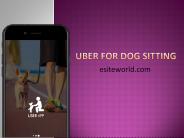 Uber For Dog Sitting App