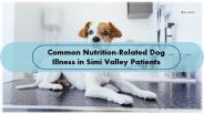 Common Nutrition-Related Dog Illness in Simi Valley Patients