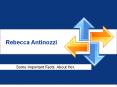 Imortant Facts About Rebecca Antinozzi PowerPoint PPT Presentation