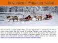 Rovaniemi Reindeer Safari PowerPoint PPT Presentation
