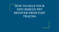HOW TO HELP YOUR NEW RESCUE PET RECOVER FROM PAST TRAUMA PowerPoint PPT Presentation
