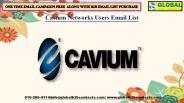 Cavium Networks Users Email List