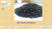 Rice Husk Ash Market