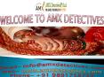 AMX Detectives PowerPoint PPT Presentation