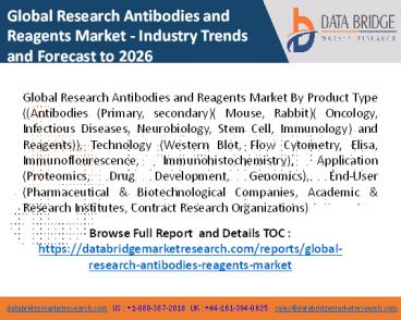 Global Research Antibodies and Reagents Market