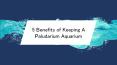 5 Benefits of Keeping A Paludarium Aquarium PowerPoint PPT Presentation