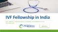 IVF Fellowship in India PowerPoint PPT Presentation
