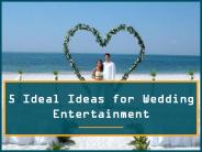 5 Ideal Ideas for Wedding Entertainment