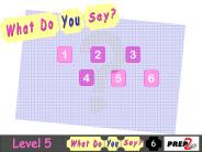Level5 wdys6