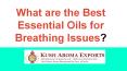 Best Essential Oils for Asthma PowerPoint PPT Presentation