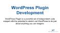 Why WordPress Plugins are important for your business? PowerPoint PPT Presentation