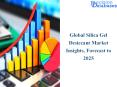 Silica Gel Desiccant  Market Report: Detailed analysis of top players 2025 PowerPoint PPT Presentation