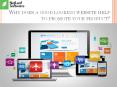 Why does a good looking website help to promote your product? PowerPoint PPT Presentation