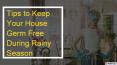 Tips to Keep Your Home Germ Free During Rainy Season PowerPoint PPT Presentation