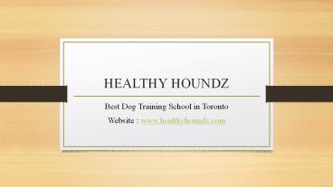 Dog training in toronto