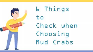 6 Things to Check when Choosing Mud Crabs