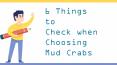 6 Things to Check when Choosing Mud Crabs PowerPoint PPT Presentation