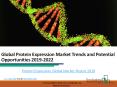 Protein Expression Global Market Report 2019 PowerPoint PPT Presentation