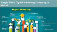 Jungle Bird | Digital Marketing Company In Mohali.