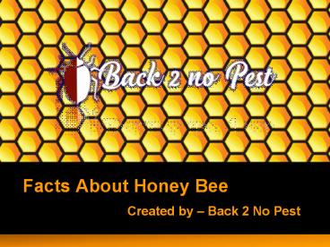 Interesting Facts About Honey Bee