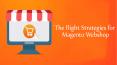 Strategies for Magento Webshop PowerPoint PPT Presentation