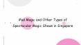 iPad Magic and Other Types of Spectacular Magic Shows in Singapore PowerPoint PPT Presentation