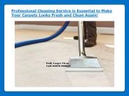 Professional Cleaning Services