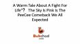 “A Warm Tale About A Fight For Life”一 The Sky Is Pink Is The PeeCee Comeback We All Expected PowerPoint PPT Presentation