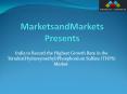 India to Record the Highest Growth Rate in the Tetrakis(Hydroxymethyl)Phosphonium Sulfate (THPS) Market PowerPoint PPT Presentation