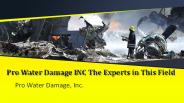 Pro Water Damage INC The Experts in This Field