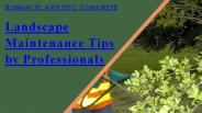 Landscape Maintenance Tips by Professionals