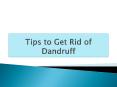 Tips to Get Rid of Dandruff PowerPoint PPT Presentation