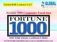 Fortune 1000 Companies Email data PowerPoint PPT Presentation