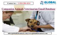 Companion Animals Veterinarian Email Database