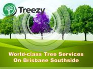 World-class Tree Services On Brisbane Southside