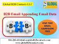 B2B Email Appending Email Data PowerPoint PPT Presentation