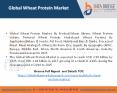 Global Wheat Protein Market– Industry Trends and Forecast to 2025 (1) PowerPoint PPT Presentation