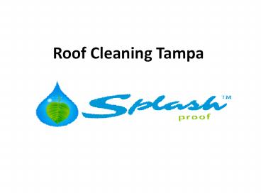Roof Cleaning Tampa