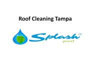 Roof Cleaning Tampa