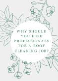 Why Should You Hire Professionals For A Roof Cleaning Job? PowerPoint PPT Presentation