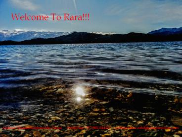 Queens of Lake- Rara