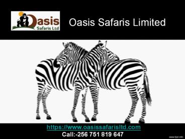 Oasis Safaris Limited