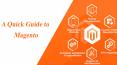 What is Magento? PowerPoint PPT Presentation