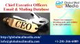 Chief Executive Officers Email & Mailing Database PowerPoint PPT Presentation