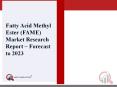 Fatty Acid Methyl Ester (Fame) Market 2019 Global Market Challenge, Driver, Trends & Forecast to 2023 PowerPoint PPT Presentation