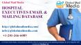 HOSPITAL EXECUTIVES EMAIL & MAILING DATABASE PowerPoint PPT Presentation