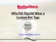 Why Pet Should Wear a Custom Pet Tags PowerPoint PPT Presentation