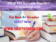 BSOP 583 Success Begins - snaptutorial.com PowerPoint PPT Presentation